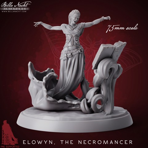 Image of Elowyn | Pre Supported | 75mm Scale
