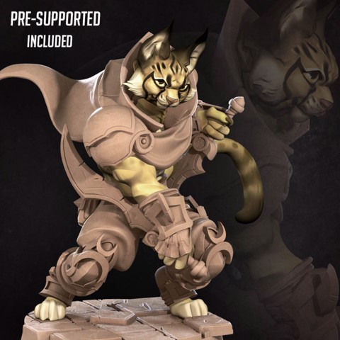 Image of Tabaxi Rogue