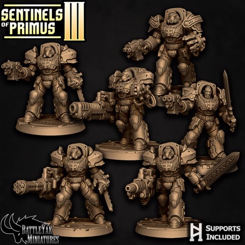 Image of Sentinel-Paladin Ranged Combat Pack