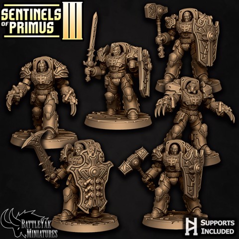 Image of Sentinel-Paladin Close-Combat Pack