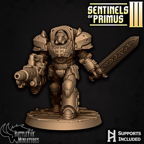 Image of Sentinel-Paladin Ranged Warrior F