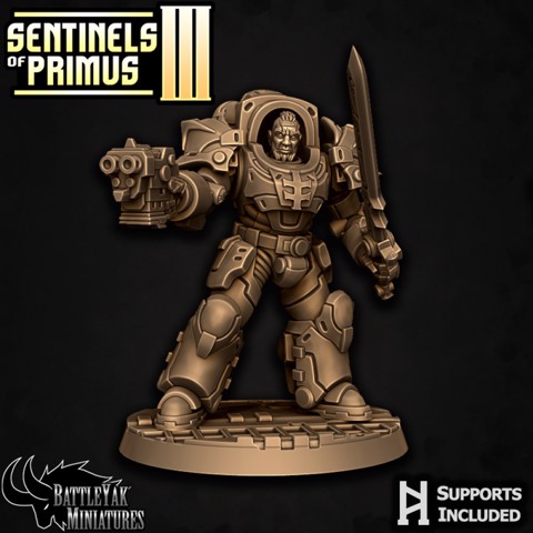 Image of Sentinel-Paladin Ranged Warrior E
