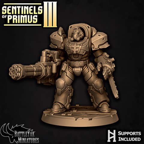 Image of Sentinel-Paladin Ranged Warrior D
