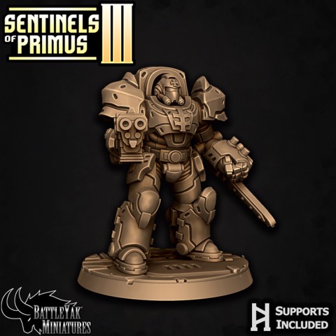 Image of Sentinel-Paladin Ranged Warrior C