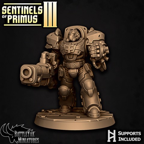 Image of Sentinel-Paladin Ranged Warrior B