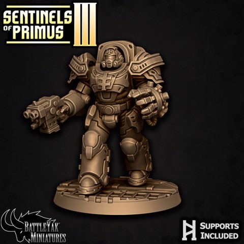 Image of Sentinel-Paladin Ranged Warrior A