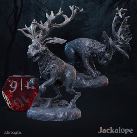 Image of Jackalope