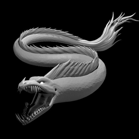 Image of Dragon Eel