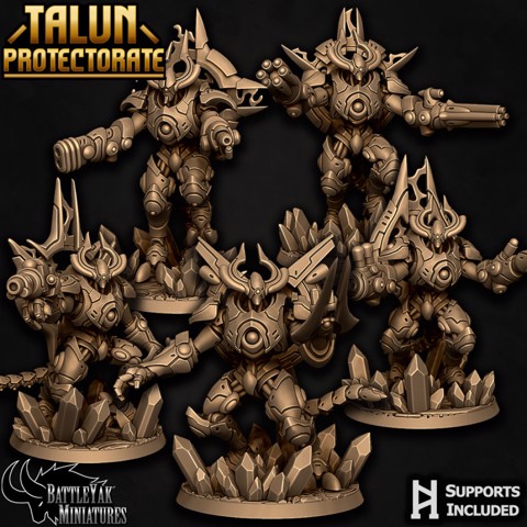 Image of Talun Exaframe Pack