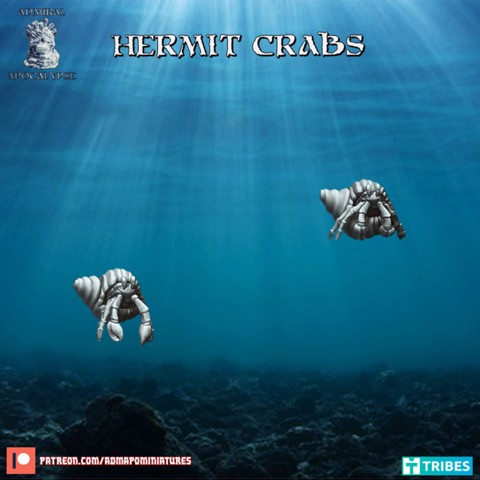 Image of Hermit Crabs (pre-supported)