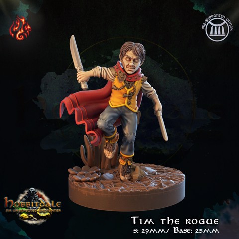 Image of Tim the rogue