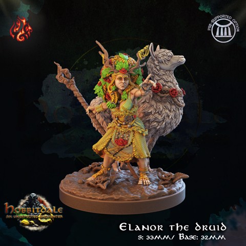 Image of Elanor the Druid