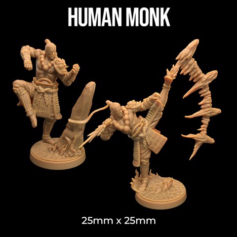 Image of Human Monk | PRESUPPORTED | Masters of The Elements