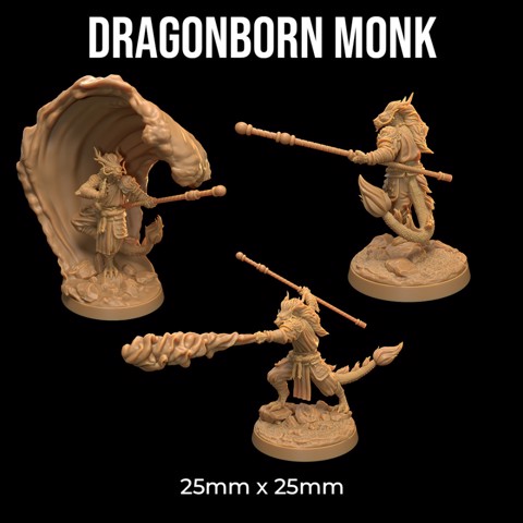 Image of Dragonborn Monk | PRESUPPORTED | Masters of The Elements