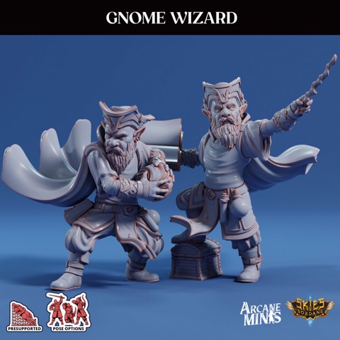Image of Gnome Wizard - Pirate