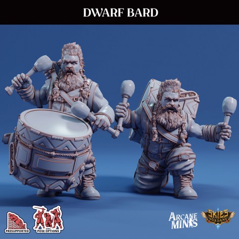 Image of Dwarf Bard - Pirate