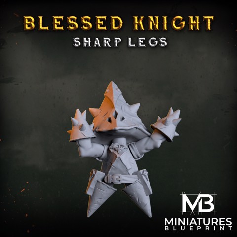 Image of Blessed Sharp Legs Knight