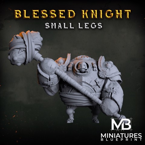 Image of Blessed Small Legs Knight