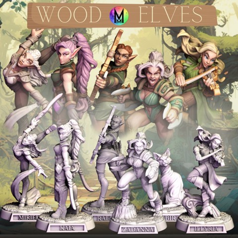 Image of Female Wood Elf Set