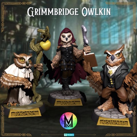 Image of Owlkin of Grimmbridge - Owlkin Rogue, Owlkin Wizard, Owlkin Druid