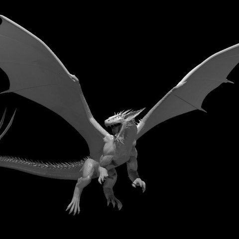 Image of Gray Dragon