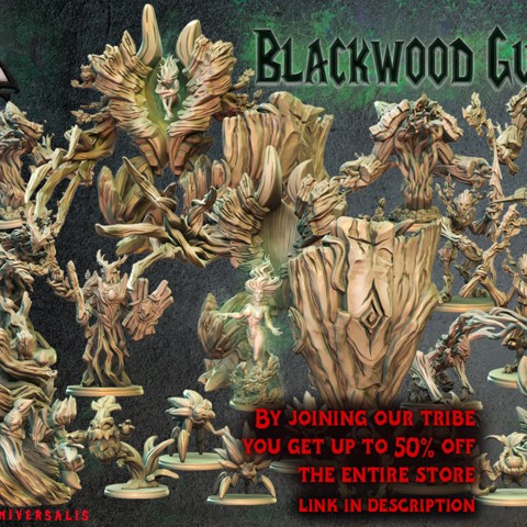 Image of Blackwood Guardians Set
