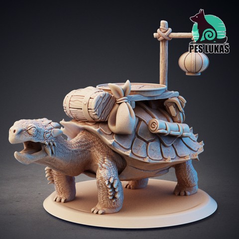 Image of Ancient Turtle Mount