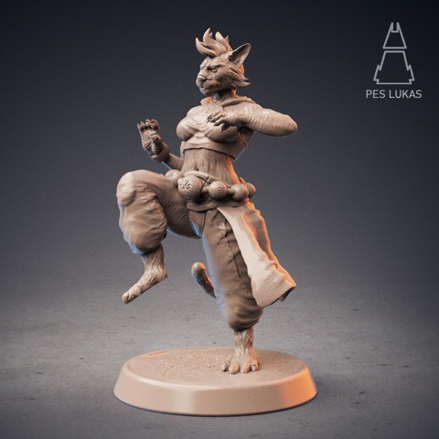 Image of Tabaxi Monk