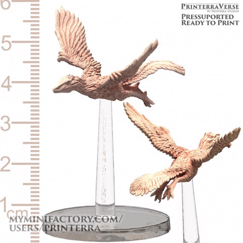 Image of 013-1-010 Flying Dinosaur Archaeopteryx