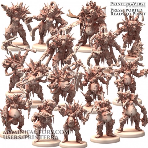 Image of 011 Demon Plague Diseased Warriors Simigura Raider Pack
