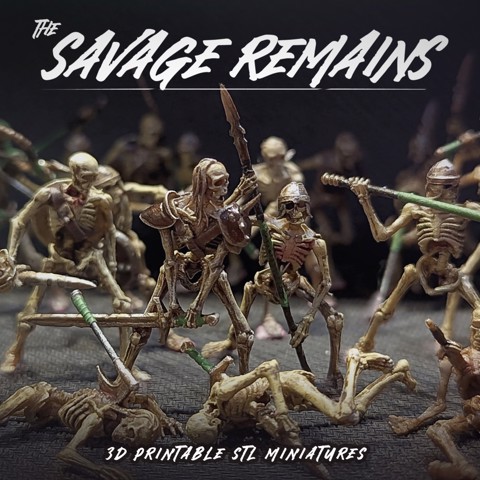 Image of The Savage Remains