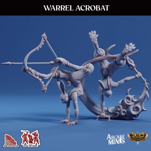 Image of Warrel Acrobat