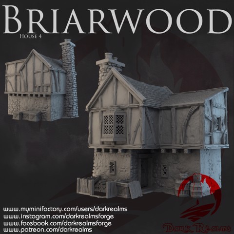 Image of Dark Realms - Briarwood - House 4