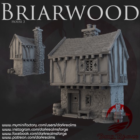 Image of Dark Realms - Briarwood - House 3