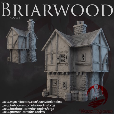 Image of Dark Realms - Briarwood - House 1
