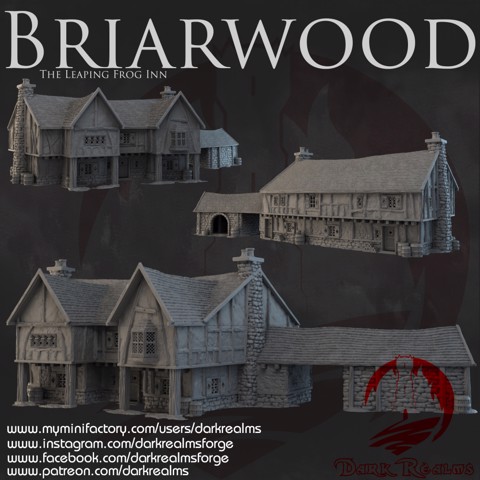Image of Dark Realms - Briarwood - The Leaping Frog Inn