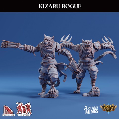 Image of Kizaru Rogue