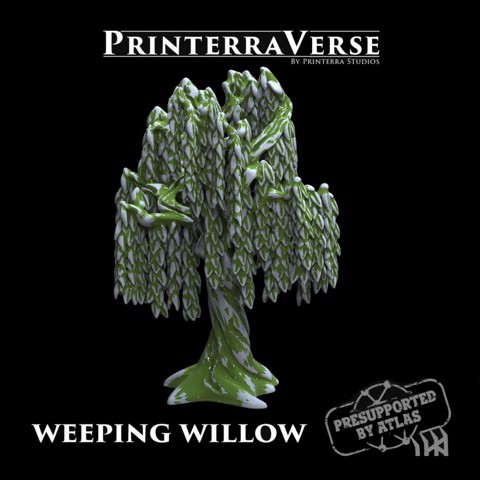 Image of Weeping Willow Tree - 004-2-041