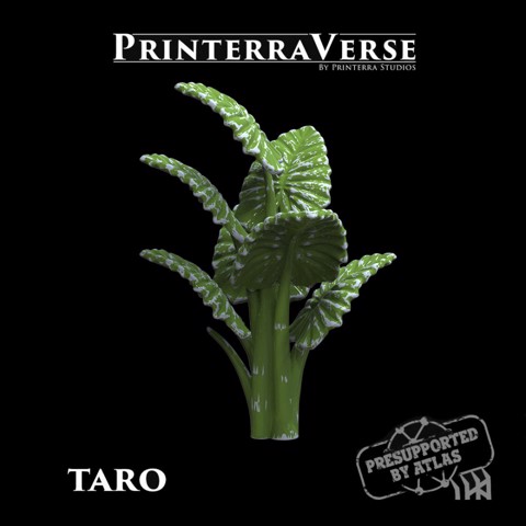 Image of Taro Tree - 004-2-040