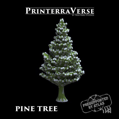 Image of Pine tree - 004-2-038
