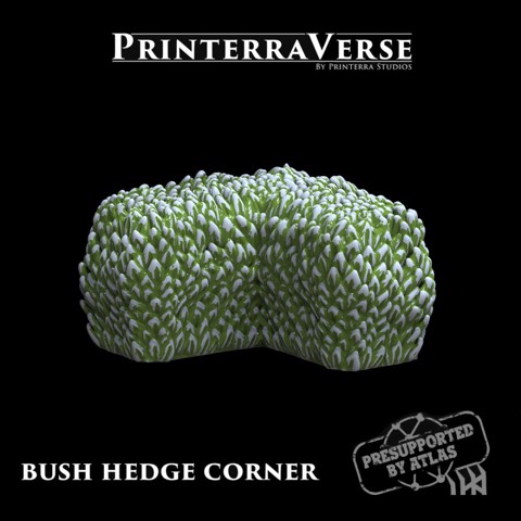 Image of Bush/Hedge - 004-2-029 & 030
