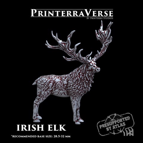 Image of Irish Elk - 004-2-023
