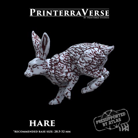 Image of Hare - 004-2-022