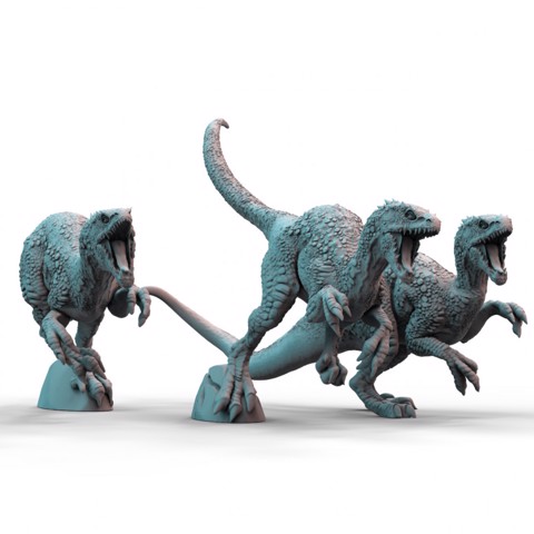 Image of Raptors (pre-supported)