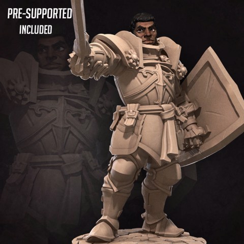 Image of Hero Paladin [CURRENT TRIBES RELEASE]