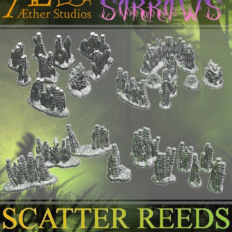 Image of KS1SOS27 - Scatter Reeds