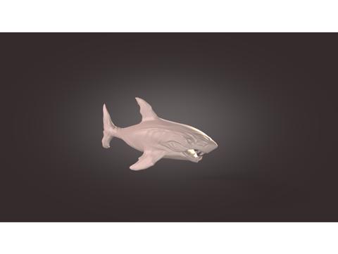 Image of Shark