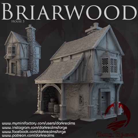 Image of Dark Realms - Briarwood - House 5