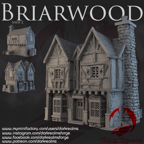 Image of Dark Realms - Briarwood - Shop 2