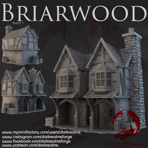 Image of Dark Realms - Briarwood - Shop 1